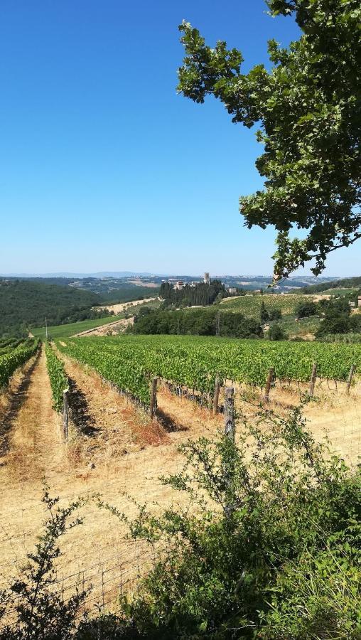 Chianti Craft House Badia A Passignano Διαμέρισμα Badia A Passigano Εξωτερικό φωτογραφία